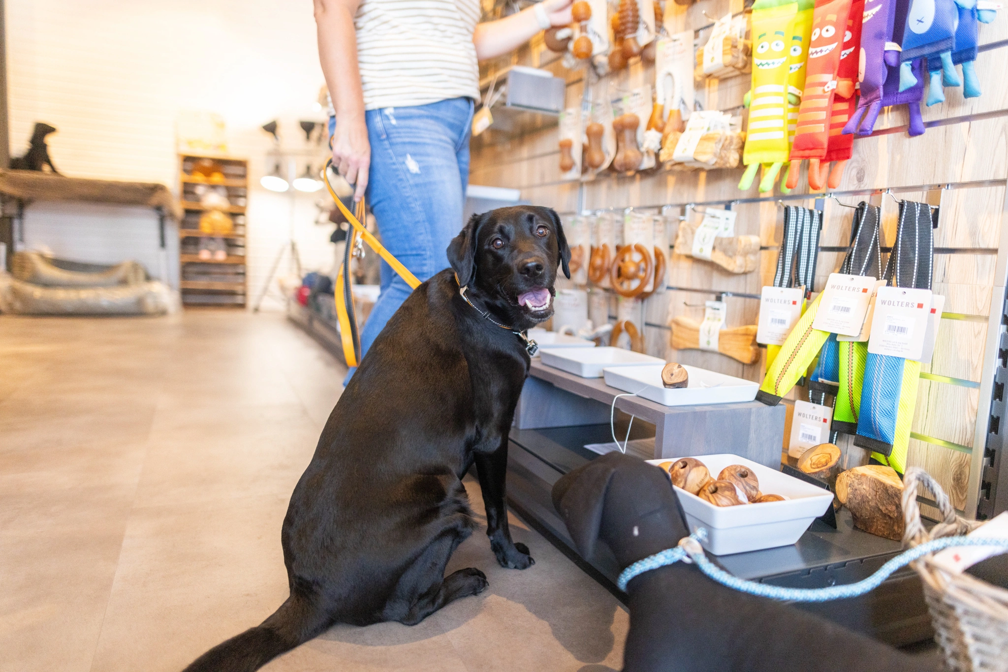 WOLTERS POS schwarzer Labrador