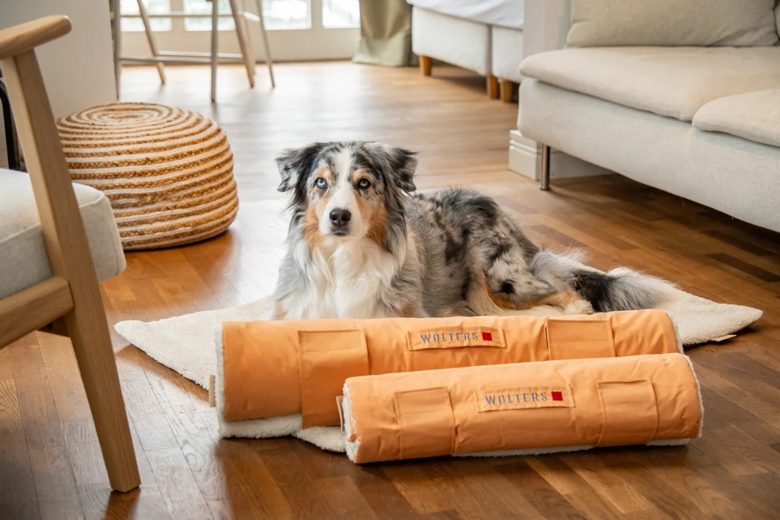 Hund mit WOLTERS Hundedecken und Liegeplätzen